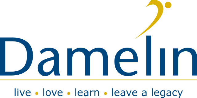 Damelin Logo